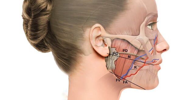 semaglutide and jaw pain How Promotes Weight Loss Are Serious Anesthesia Risks of